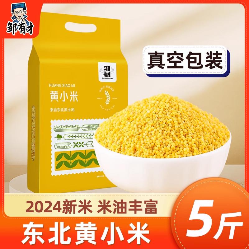 新货2024新米东北黄小米5