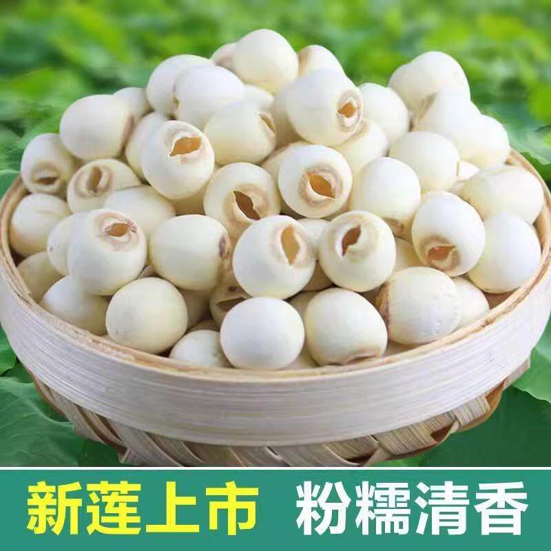 湘潭莲子干 干货500g特产级无芯百合组合干散装磨皮去心白莲子羹