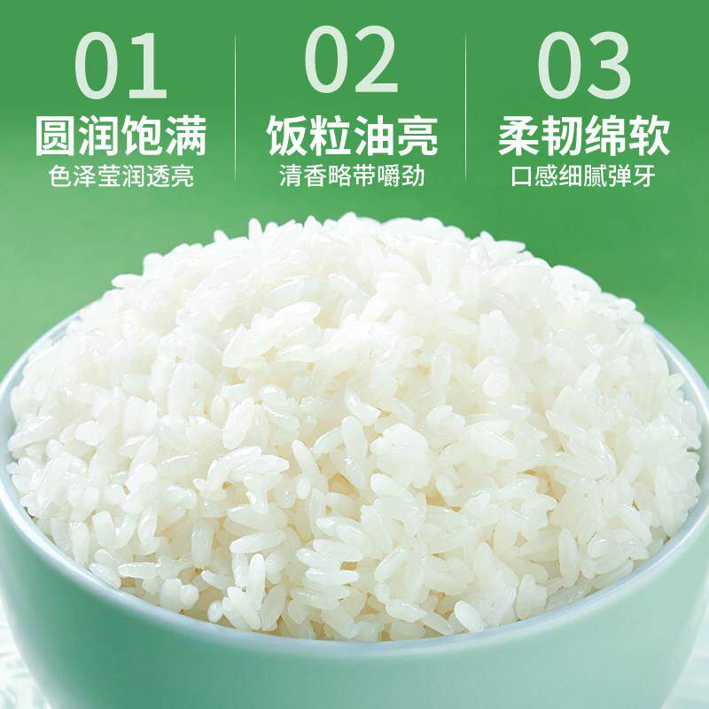 十月稻田东北长粒香米一年一季5kg袋装 红豆绿豆粥高品质食材原料