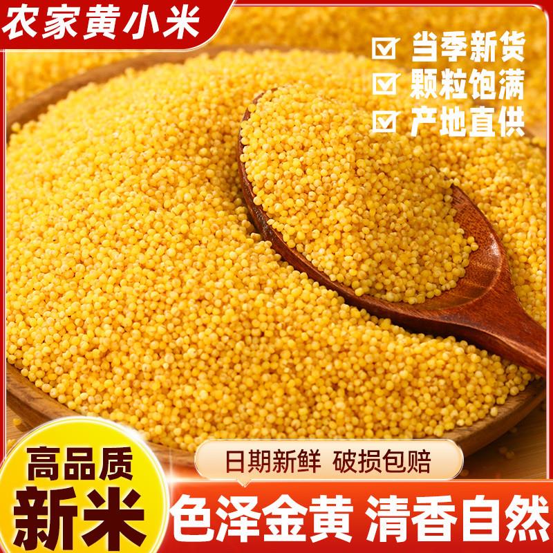 新货黄小米新米杂粮薏米黑