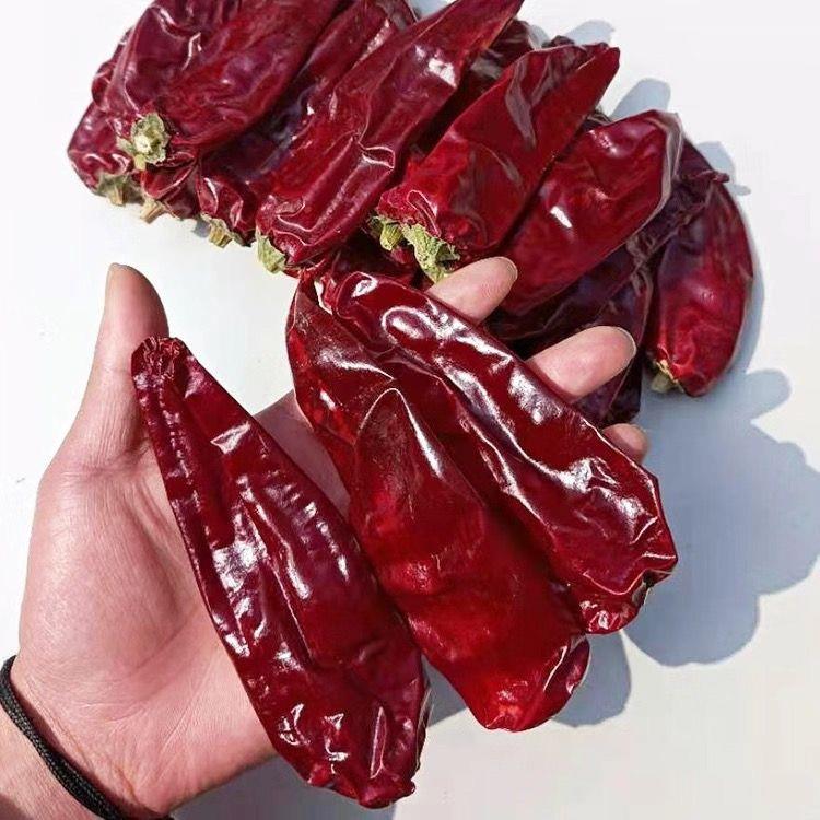 新疆酱香炒米粉新疆铁皮椒板椒不辣干辣椒新疆炒米粉上色香甜椒不
