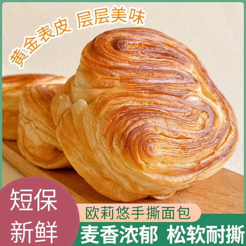 新货手撕面包整箱营养早餐