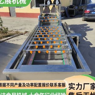 大型小龍蝦生蠔去泥清洗風干流水線多功能野菜生菜清洗風干設(shè)備