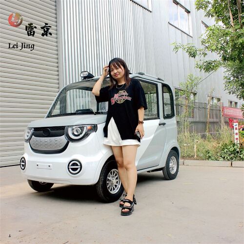 新能源电动汽车四轮车成人代步车家用女性油电两用全封闭接送孩子