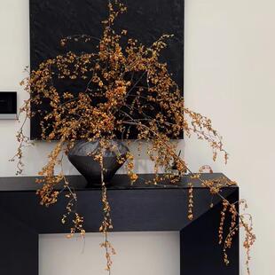 南蛇藤山归来天然植物鲜切可干花客厅桌面轻奢永生花diy装饰侘寂