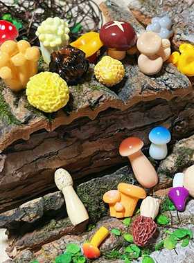 写实仿真食玩蔬菜模型小蘑菇香菇羊肚菌玩偶微景观摆件迷你装饰品