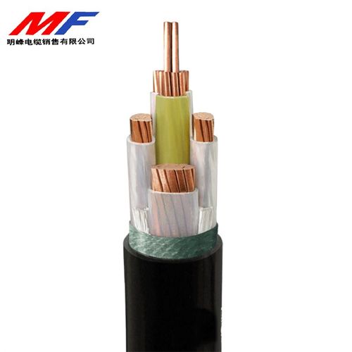 国标YJV铜芯电缆线2芯 YJV-2*95 平方电力电缆生产厂家