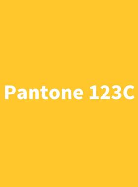 潘通系列自喷漆Pantone 123C/1235C/124C 明亮黄色/橘黄/暗黄色