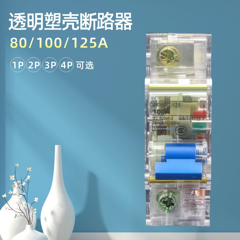 DZ47塑壳透明断路器1/2/3/4P漏电保护开关DZ47透明空气开关