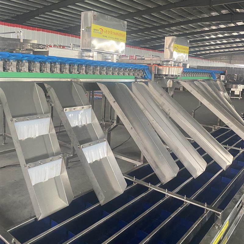 全自动鸡爪称重分选机 高精度海参分拣机 生蚝 牡蛎多级分级机,机械设备,矿山专用设备,淘宝优惠券,粉丝福利购,淘宝优惠卷