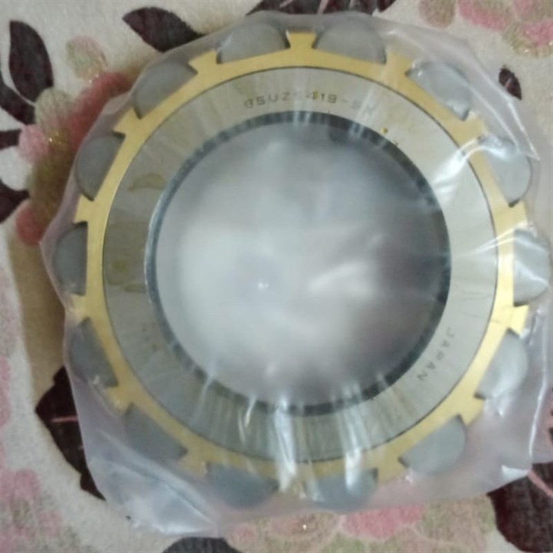 TRANS偏心轴承19UZS08T2 607YSX 6120608YRX 524806K