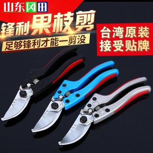 现货供应长春藤果枝剪 实用锁扣镀铬弹簧园艺修枝剪