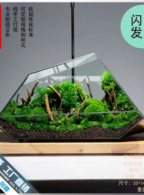 雨林缸苔藓微景观几何玻璃器皿罩盒子家居摆件微缩森林造景花盆器