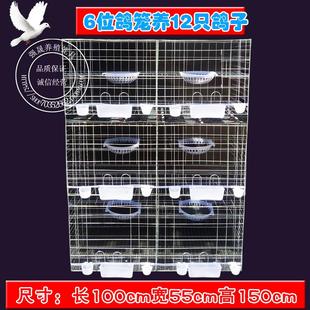 包邮 强晟大号加粗鸽子笼 信鸽笼 6位家用养殖笼配对笼鸽子 繁殖笼