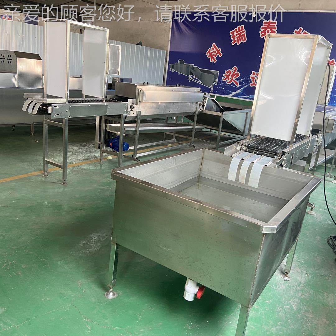 鸡蛋刷清刷机清洗 破损毛率低鸡蛋洗鸭蛋鹅蛋洗蛋机 毛清RTA洗机