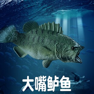 林畅模玩儿童海洋动物玩具大嘴鲈鱼模型大口黑鲈仿真.鱼男孩认知