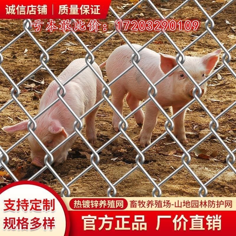花猪围栏网鸡果园勾养殖圈镀锌铁丝网围栏鸭N防护网羊养护栏牛钢