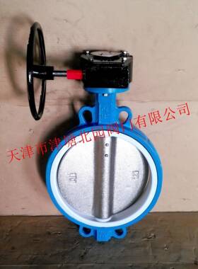 衬氟蝶阀厂家D371F-16手动对夹式涡轮铸铁衬氟耐腐耐油阀门