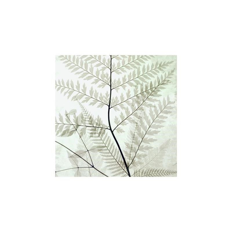 美式植物素雅装l饰画画心画布无框画画芯蕨类植物黑白