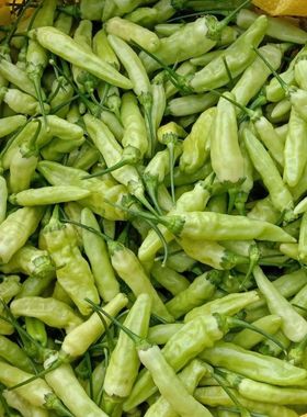 云南新鲜小米辣椒现摘现发云南白小米椒野山椒泡椒鲜蔬菜