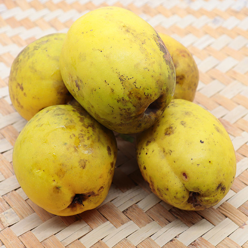 云南酸木瓜临沧酸木瓜