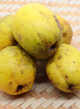 云南酸木瓜云南特产酸木瓜临沧酸木瓜大理酸木瓜酸果子云南酸水果