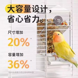 鹦鹉自动喂食器大容量亚克力鸟笼内喂水器省心省力鸟类用品可水洗