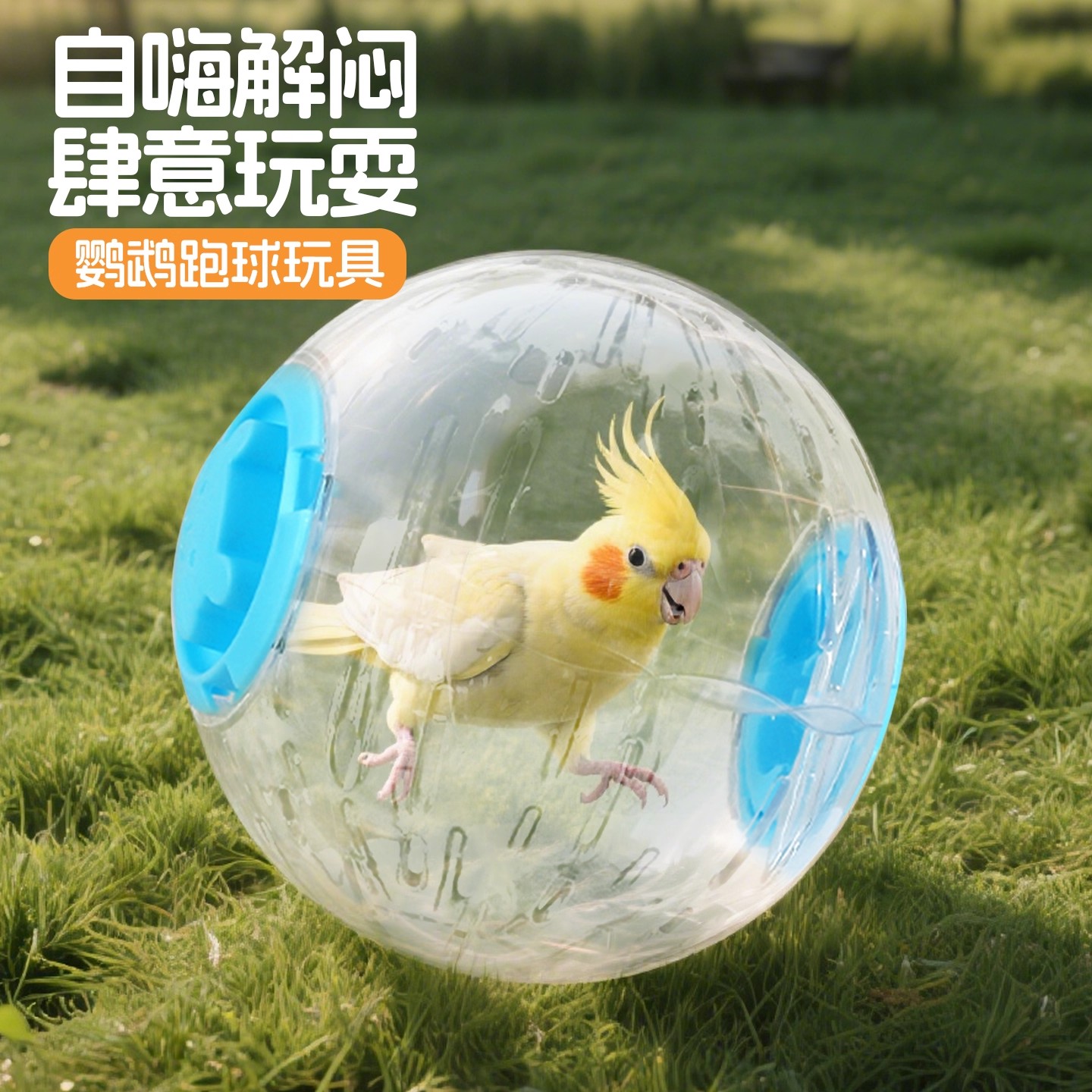 鹦鹉跑球玩具透明球形运动健身