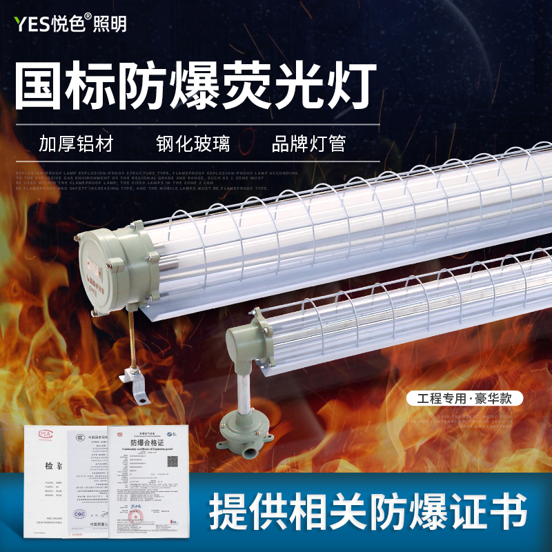 国标led防爆灯 1.2米单双管x工厂隔爆灯罩40W全套日光三防T8支架