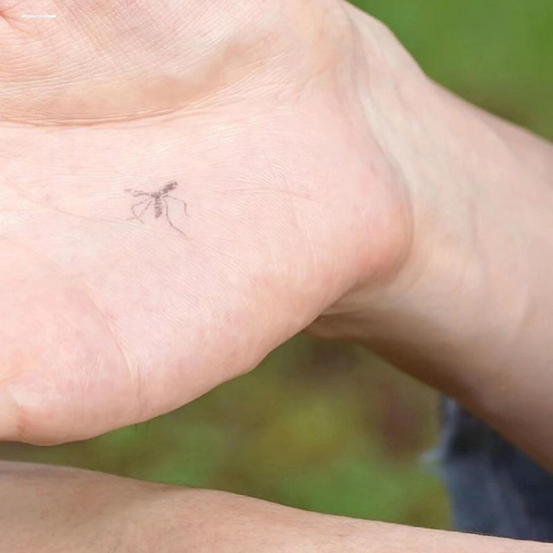 死蚊子印章恶搞趣味卡通新奇搞怪蚊子小印章动物昆虫盖章打卡签到