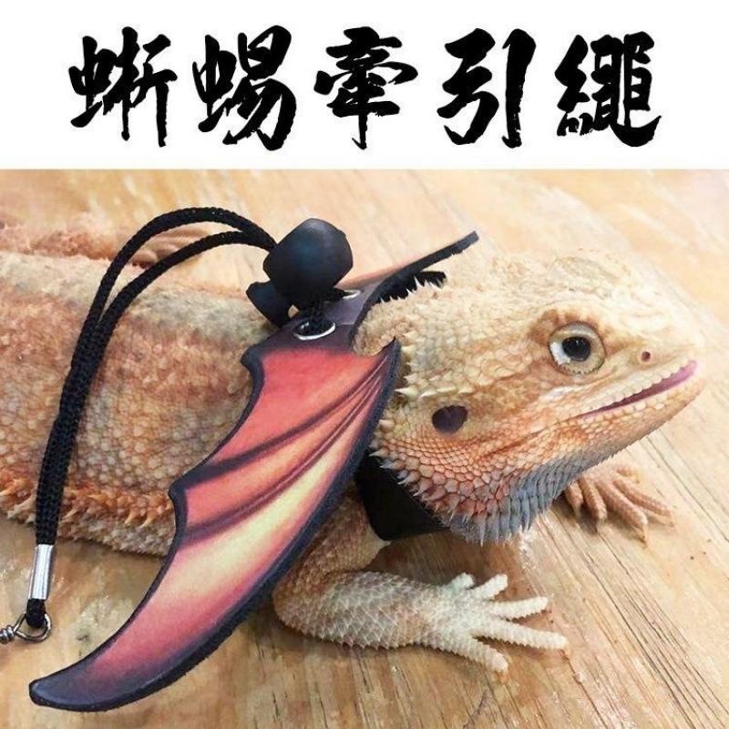 爬宠鬃狮蜥蜴牵引绳安全溜宠防挣