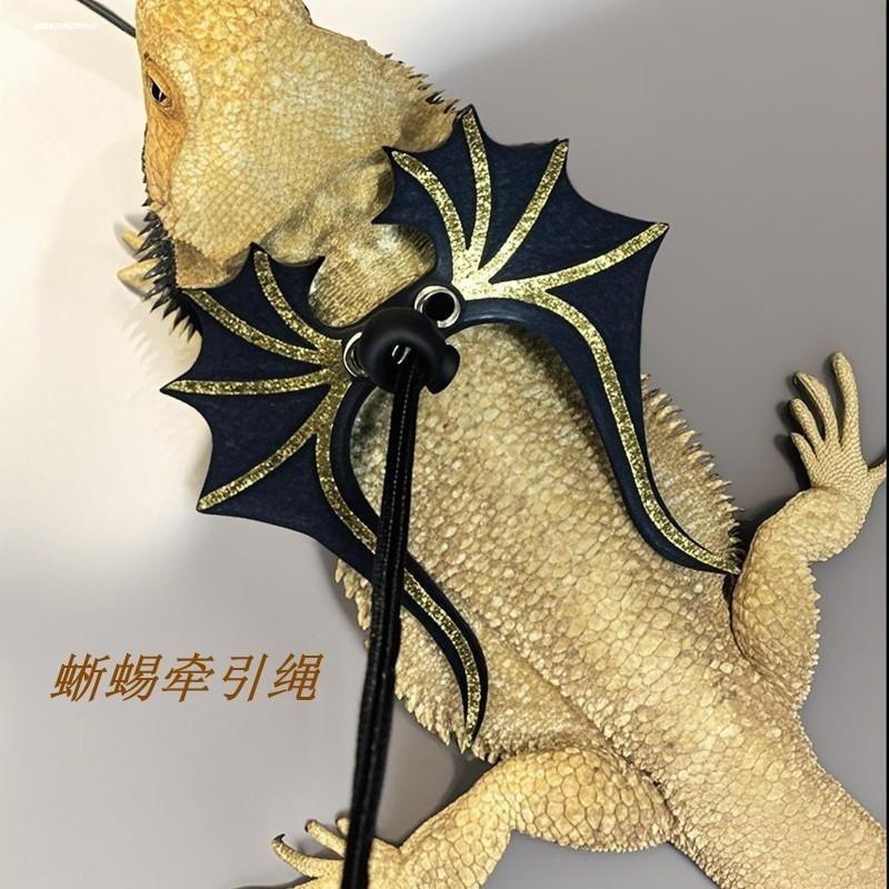 爬虫蜥蜴牵引绳小鳄鱼鬃狮蜥蓝舌