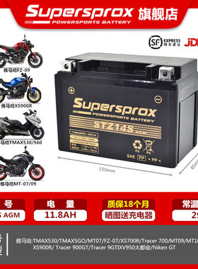 雅马哈MT07 MT09 MT10 TMAX530 560 XSR700/900 Tracer900GT电瓶