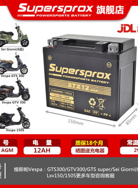 适用维斯帕GTS/GTV300 GTS250 LXV150春天冲刺埋地雷摩托电瓶电池