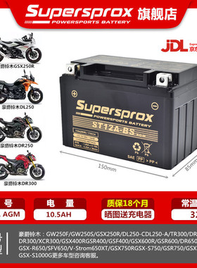 适用铃木郦驰GW250F/S DL250 GSX250R TR300 YTX9-BS摩托电瓶电池