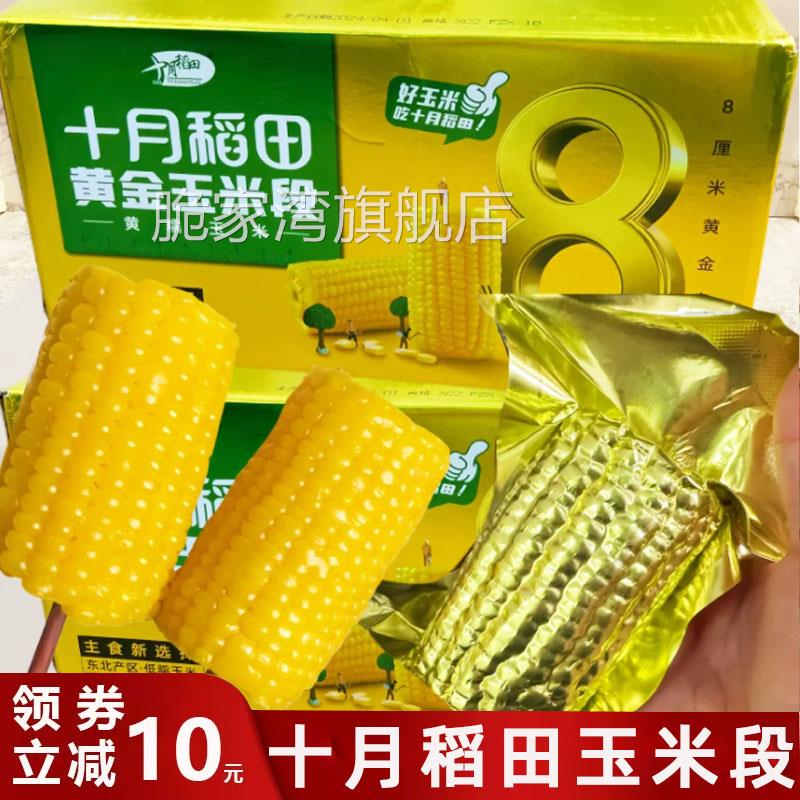 十月稻田玉米段黄金8cm玉米段8厘米黄糯苞米开袋即食八厘米糯玉米