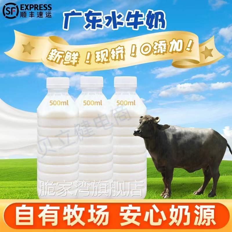 顺德新鲜生水牛奶500g牧场现挤全脂商用咖啡姜撞奶双皮奶马苏里拉