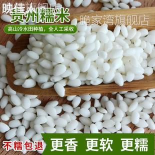 贵州从江糯米新米圆粒白糯米香禾糯米包粽子糯米酿酒原料农家自种
