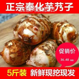 广西荔浦芋头旗舰店正宗奉化特产芋艿头小芋头5斤 非溪口新鲜农家