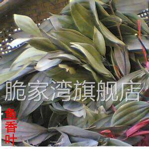 鱼香叶新化土特产天然香叶调味料干货火锅佐料除腥味50g