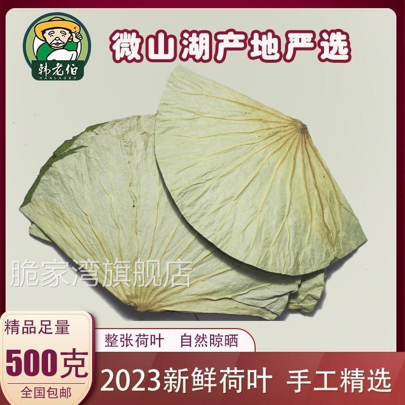 微山湖干荷叶整张500克荷叶鸡糯米鸡荷叶茶2024新鲜大张莲藕叶