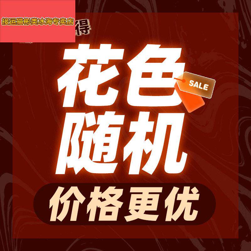 2026新款防口水防头油枕头套单个家用一对装忱芯保护套48cmx74cm