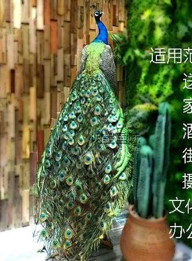 天然蓝孔雀标本 白孔雀羽毛彷真鸟标本 手工艺家居装饰品摆件道具
