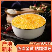 新米农家新糜子大黄米软糯小米粥江米软米粘米黏米包粽子专用黍子