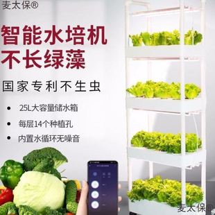 智能种菜机室内阳台无土栽培设备家用水培蔬菜种菜机器麦太保 新款