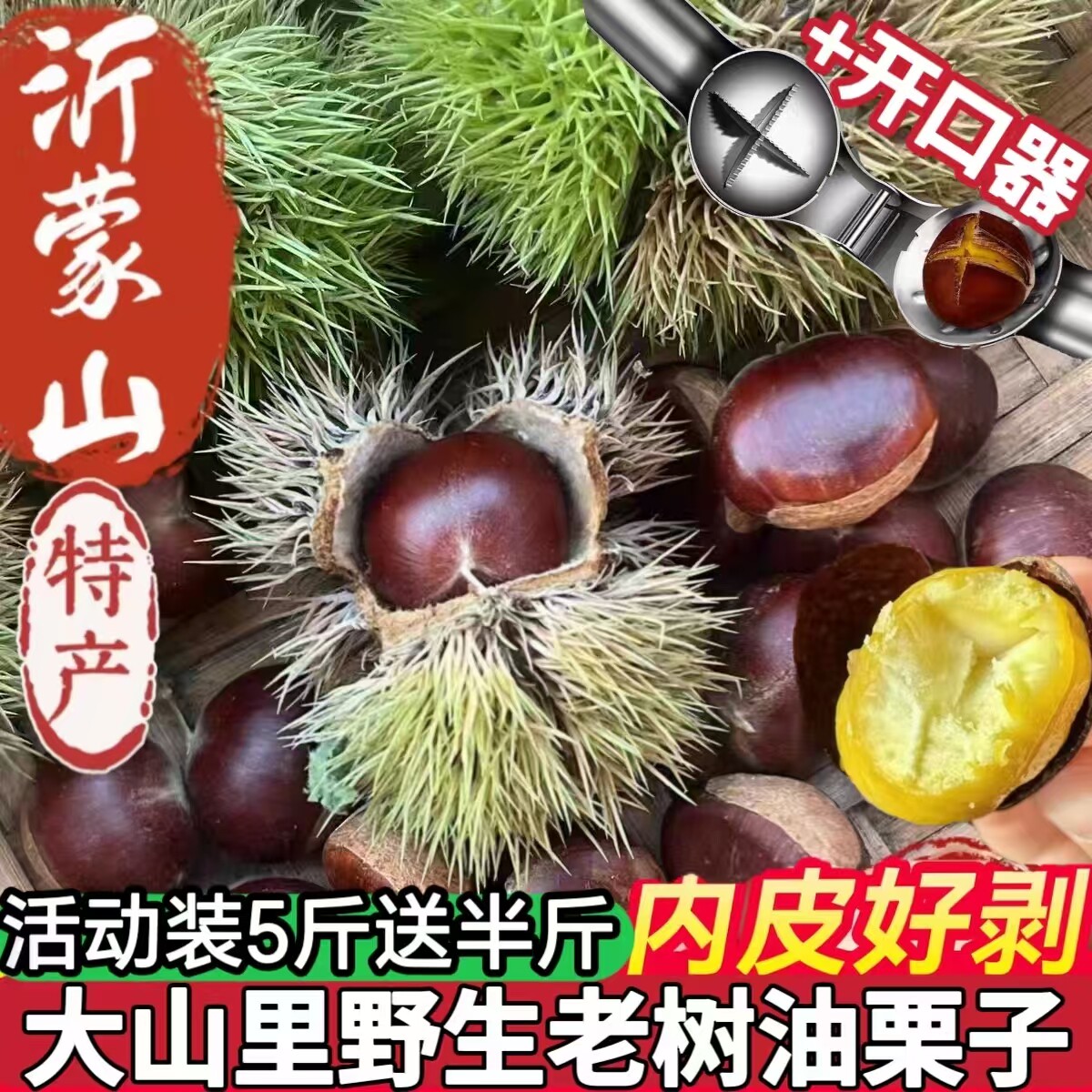 新鲜板栗沂蒙山老树栗子即食生栗子带壳野生油板栗自然成熟新货