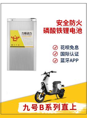 9号电动车B30C锂电池大容量48V锂电磷酸铁锂B35B40B65B80B90B110P