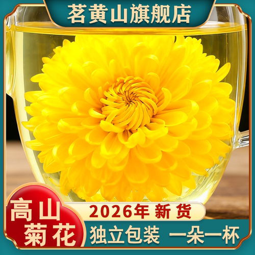 安徽黄山高山金丝皇菊官方旗舰店