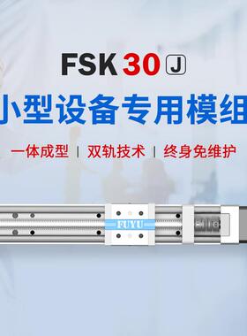 FUYU双轨丝杆滑台微型精密步进马达数控移动直线 线导轨线 线性模