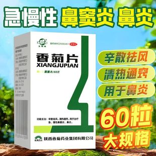 东泰 香菊片 0.32g*60片*1瓶/盒 香菊片治鼻炎清热通窍